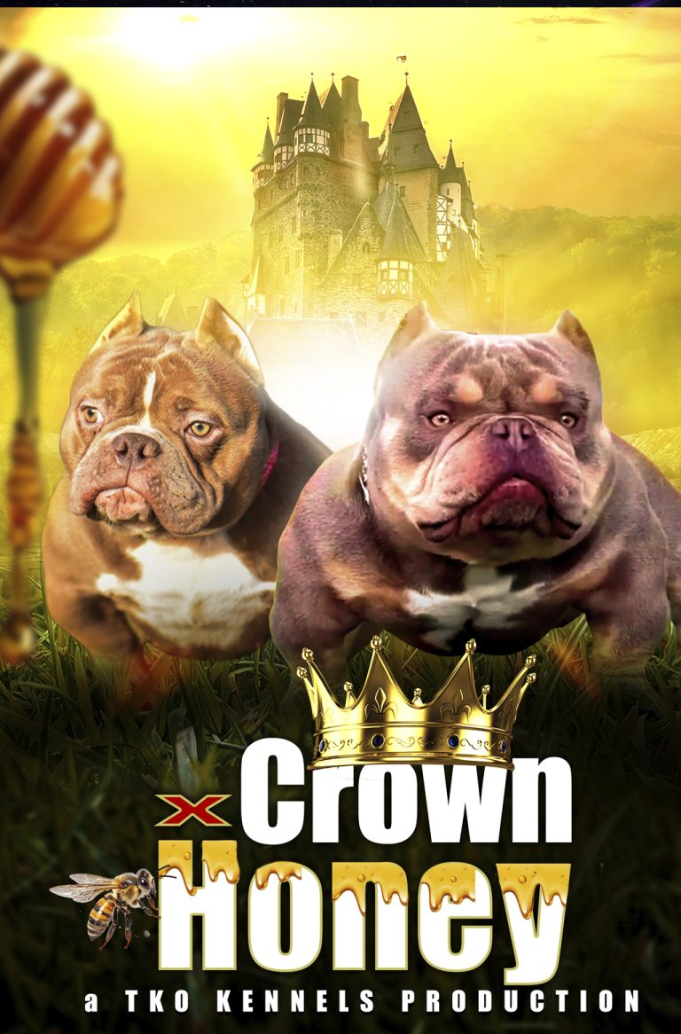 Honey Crown 1 768x1166