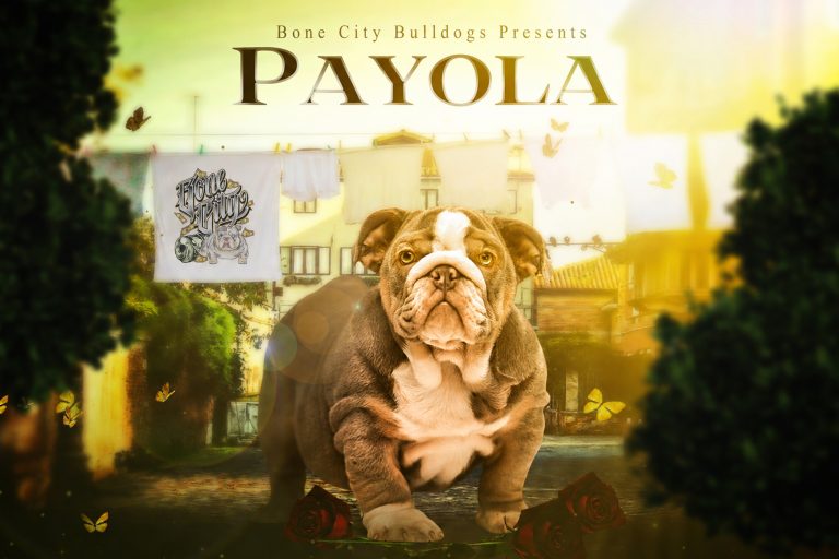 Payola 768x512